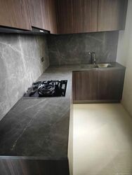Klimt Cairnhill (D9), Apartment #560827731